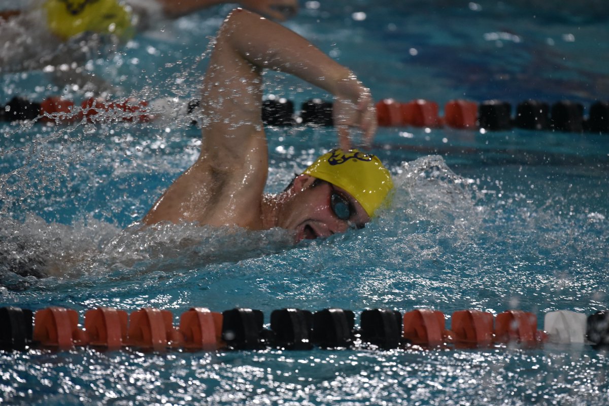 PSACsports's tweet photo. SWIM: Let's begin the final session, and crown some champions! #PSACSWIM ⬇️
⏲️- 5 PM
📺- https://t.co/4wBQZLMyKb
📊- https://t.co/M0RHNnENTF
#PSACProud https://t.co/gxKXZvMqi9