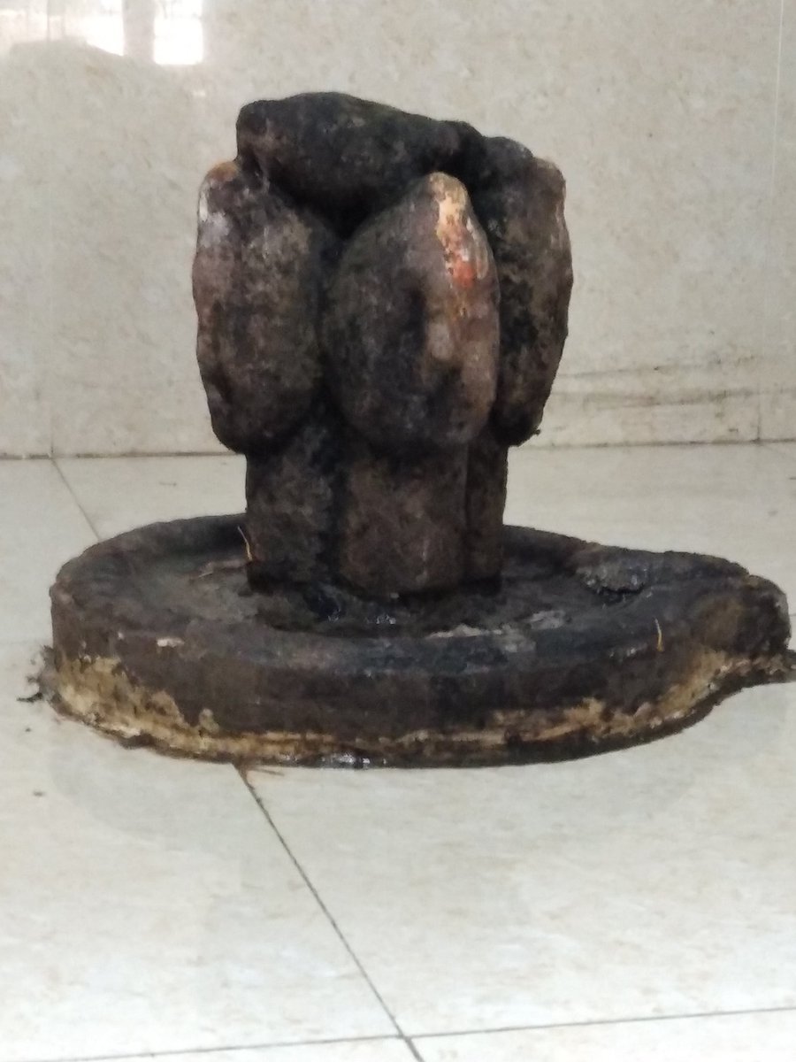 flyingamit's tweet photo. #ShivaBari forest at our ancestral home #Ambota The gurukul of Dronacharaya. #Varaha #HinduShahi #TurkShahi #Waraz #Varaz #Baraha #Waryah #RajaJaipal #Toramana #Mihirakula #Dharanivaraha #JayaVaraha #UdityaVaraha @sanjeevsanyal https://t.co/y5ApTwvAaP