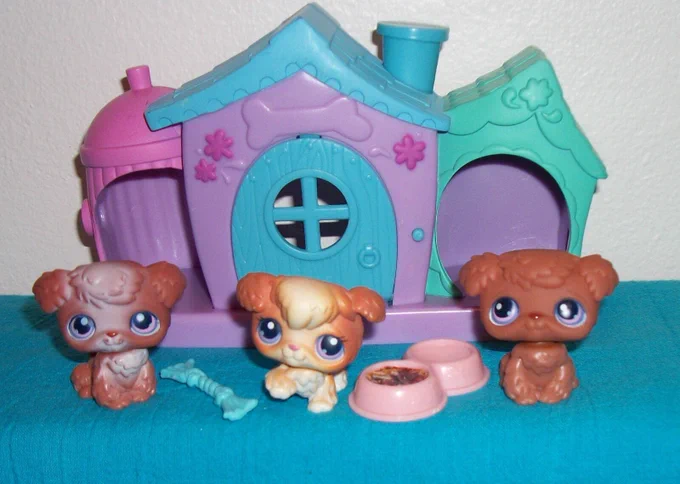 these were my big time rush lps cast i only cared about kendall so hes the beagle and the rest were interchangeable 