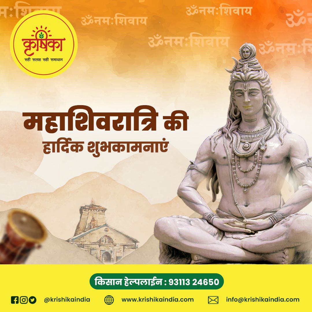 KrishikaIndia's tweet photo. आप सभी को महाशिवरात्रि की हार्दिक शुभकामनाएं 🙏🙏

𝐊𝐫𝐢𝐬𝐡𝐢𝐤𝐚
📱 कृषिका हेल्पलाइन नं - 𝟗𝟑𝟏𝟏𝟑 𝟐𝟒𝟔𝟓𝟎
🌐 https://t.co/VisoeCkQPF

#Mahashivratri2023 #festival #krishika #farmer #agriculture https://t.co/hHgSDinbsS