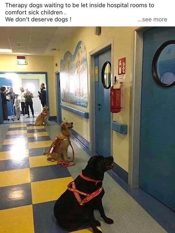 melanie-brett-on-twitter-rt-jvnaidoo1-unconditional-caring