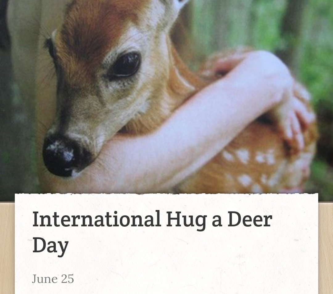 DeerHourly tweet media