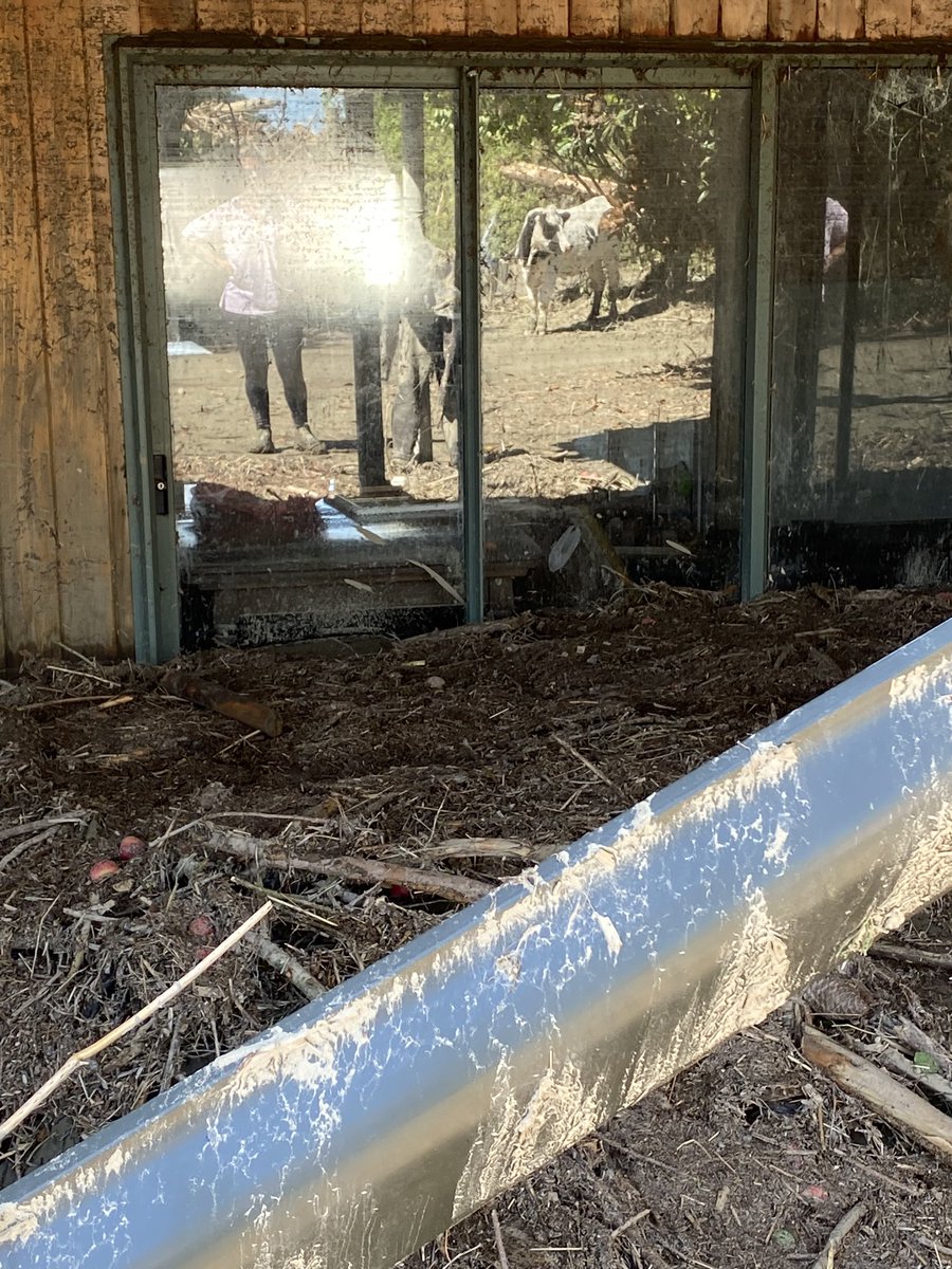 🇳🇿Lesley 🍎🍇🍷☕️ tweet media