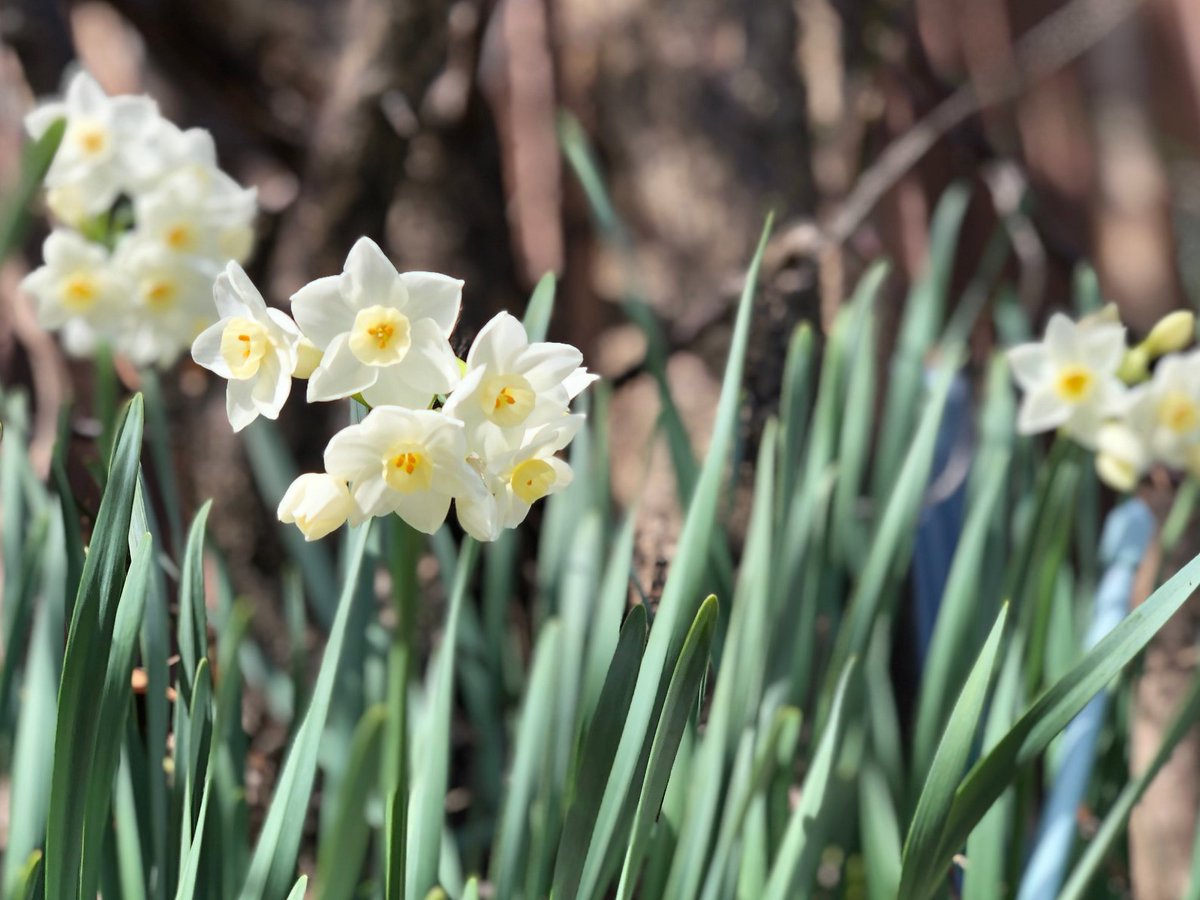 SouToku_4970's tweet image. ／
☀️　土曜日、こんにちは！
＼

今週も、お疲れさまでした。

よい週末を、お過ごしください😊！

#こんにちは
#Goodafternoon

#Доброгодня（🇺🇦　ドーブロゴ ニャー）