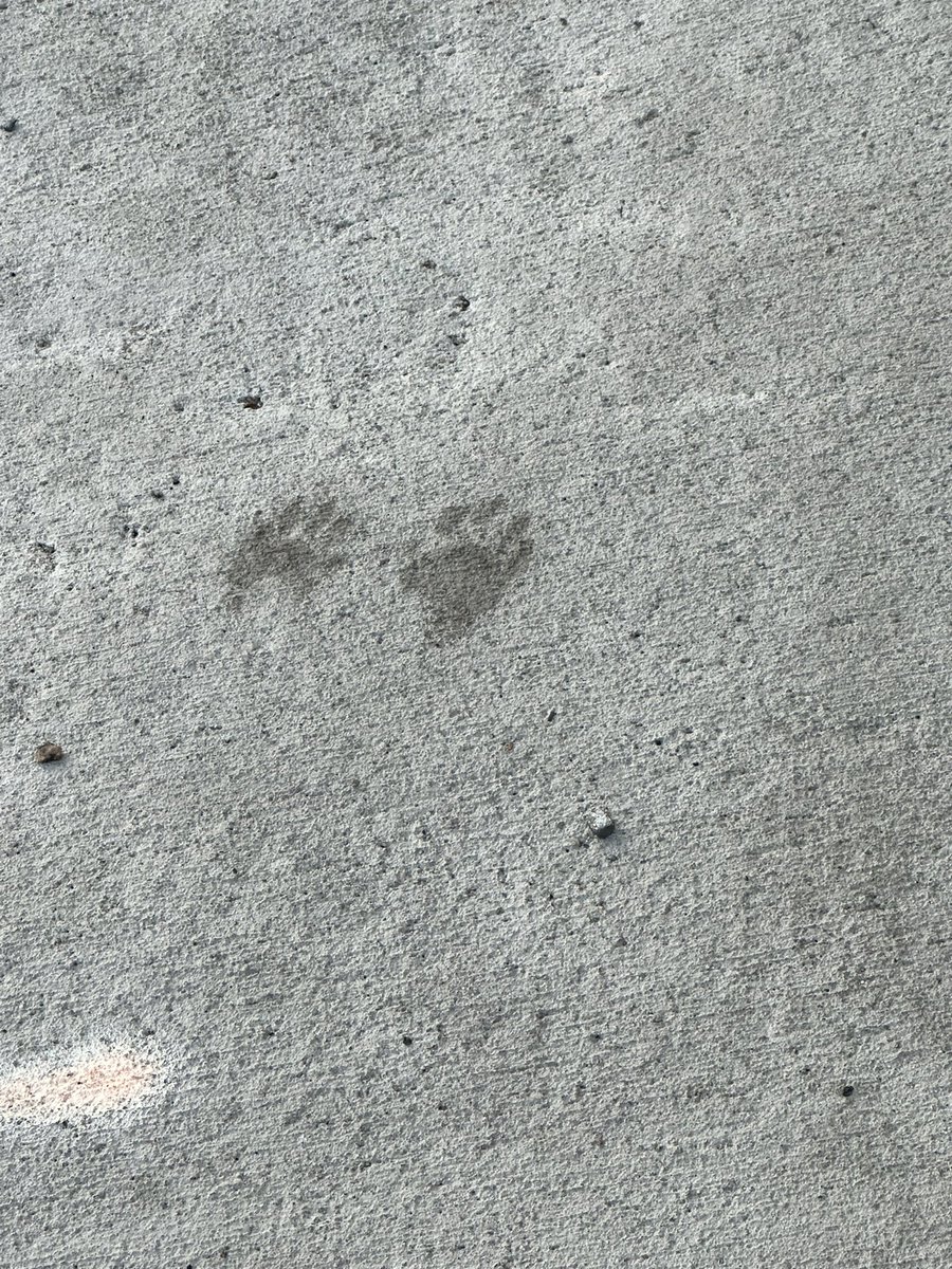 GrowWithG2023's tweet photo. You think this guy knows the “Footprints” poem? 🤔 https://t.co/ICyFk27UJb https://t.co/Tct360YnQG