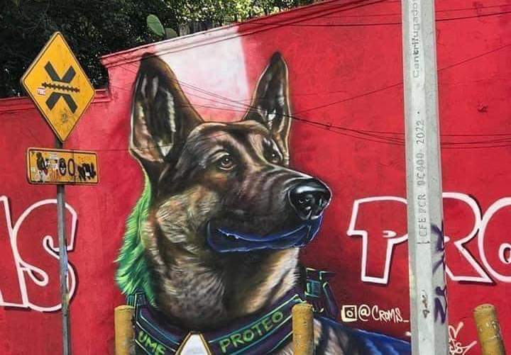 PatyEspindolaU's tweet photo. HOMENAJE A PROTEO 🐶
El artista urbano mexicano, Oscar Argüello alias “#Croms”, realizó un mural en homenaje a “#PROTEO”, #perro #rescatista que falleció en #Turquía tras rescatar a personas atrapadas por el #Terremoto.
El mural se encuentra en Av. Mario Colín, #Tlalnepantla. https://t.co/Qnzvmq3pek