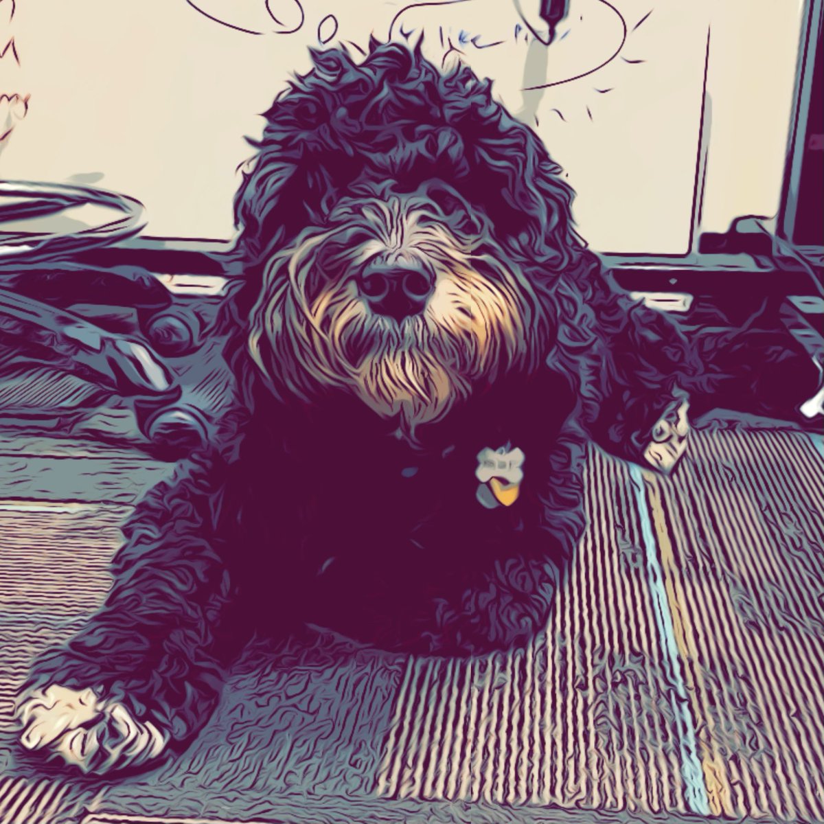 Thomas Reilly tweet media