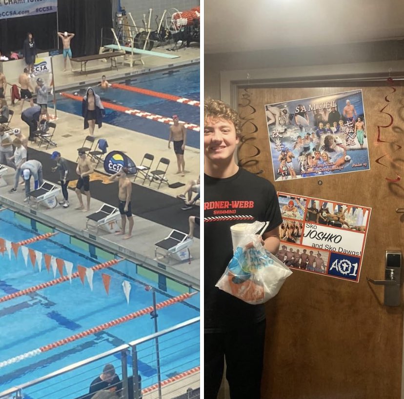 Lindsay Hammill tweet media