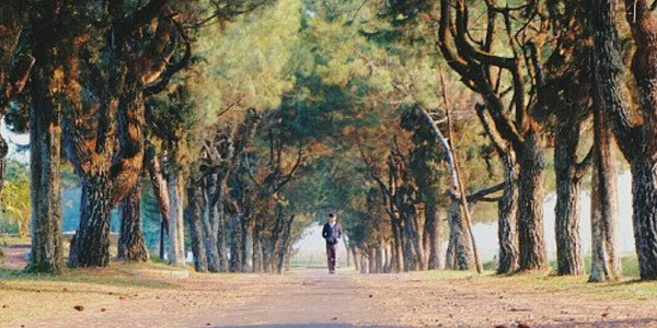 CpointWisata's tweet photo. Wisata Alam Paling Indah di Bandung, Rasakan Alam Bersahabat Tiada Duanya https://t.co/2g41OSQpUg