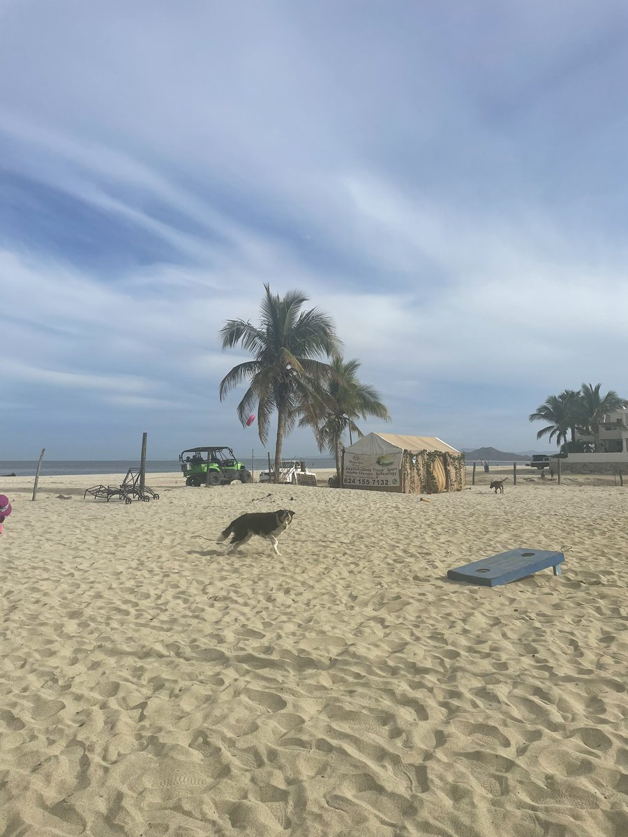 angelagaca's tweet photo. Un día estás en el paraíso y al otro lavando tu lavadora con cloro porque no quieres que apeste. La vida es muy chistosa. https://t.co/4twn9zgfk2