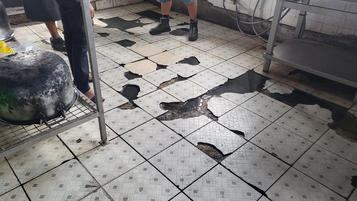 Judy Compain tweet media