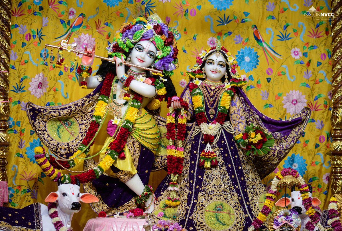ISKCONPune's tweet photo. Today's 18/02/2023 Darshan
Sri Sri Radhavrindavanchandra 
#ISKCONNVCC #ISKCONPune #ISKCON
#PUNE #DailyDarshan #harekrishna
#Saturday #18thfebruary #18thfebruary2023
#nvcc #radhavrindavanchandra
#iskcondesiretree #harekrsnatv #art
#harekrsnatelevision #radhakrishna
#today #love https://t.co/hYyHhI6j3J
