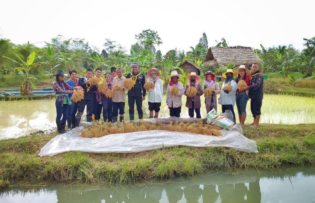 🌾 ผู้การทหารพราน45 นำกำลังพล ช่วยชาวบ้านลงแขกเกี่ยวข้าวแปลงนาโครงการฟาร์มตัวอย่างฯ บ้านตอหลัง อนุรักษ์ประเพณีวิถีพื้นบ้าน พร้อมต่อยอดแหล่งท่องเที่ยวเชิงเกษตร 
facebook.com/10006460228500…
#เราจะไม่ทิ้งกัน
#ผู้การทวีรัตน์ 
#หน่วยเฉพาะกิจกรมทหารพรานที่45
#กองทัพภาคที่4