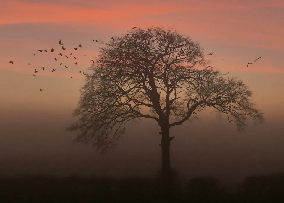 PictureThis Scotland on Twitter "Windygates on the Fife Pilgrim Way
