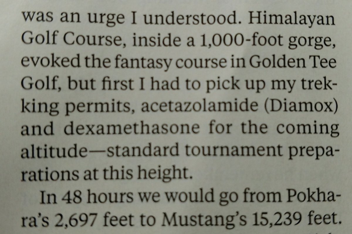 The Yancy Chronicles tweet media