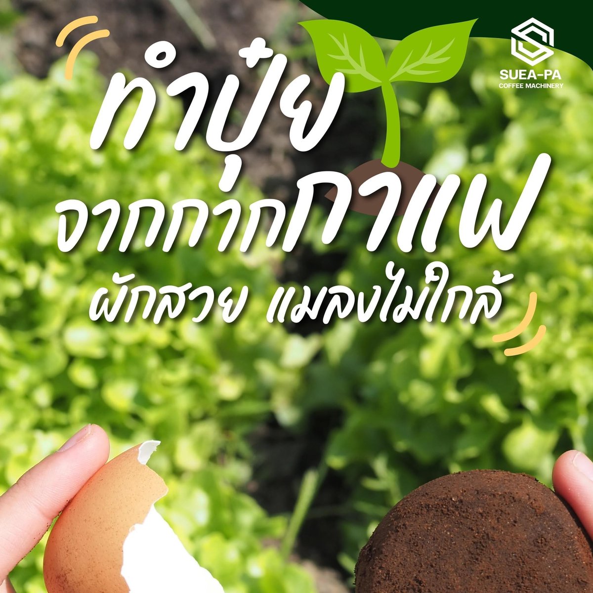 Buddhist_Guard's tweet photo. https://t.co/GbhwWpcSY5
 กากกาแฟ ไม่ต้องทิ้ง ทำปุ๋ยผักงาม แมลงไกล สวัสดีค่ะทุกคนวันนี้แอดเอาวิธีทำปุ๋ยจากกากกาแฟ และเปลือกไข่มาฝาก บอกได้เลยว่าทำแล้วผักปลอดเคมีและยังสวยน่าทานด้วยค่ะ https://t.co/Y6sHk243dV