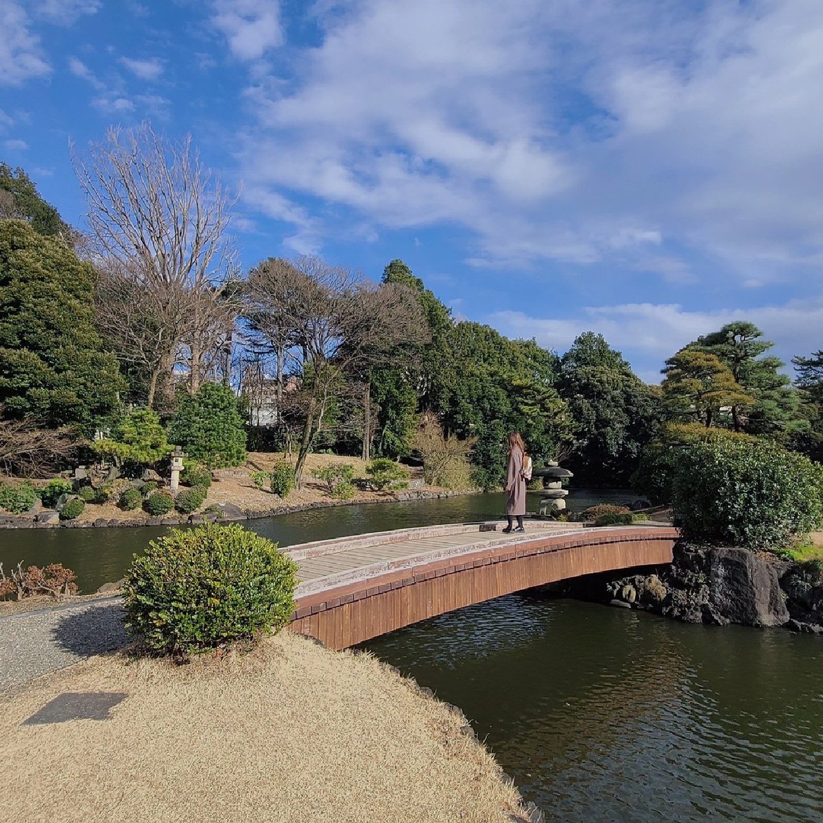寒いですが、新宿に春が来ましたよ❣❣

もうデートやピクニック、ランニングをしている人も多いですね✨✨