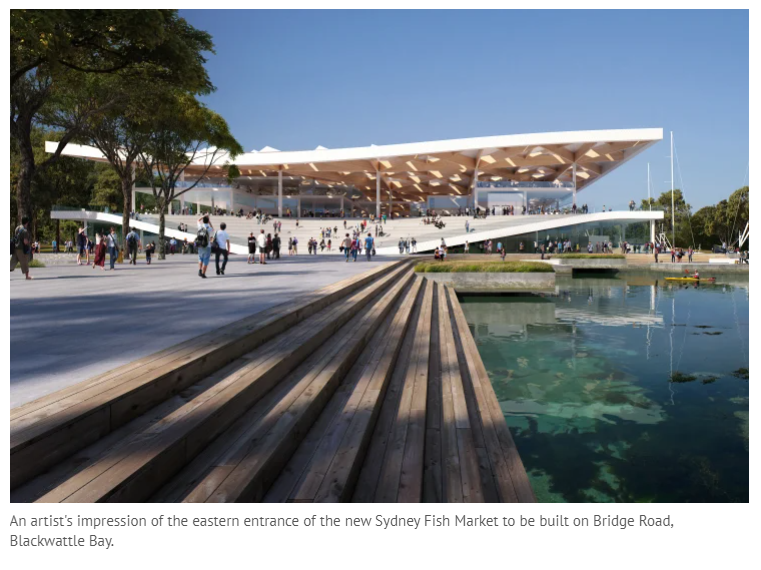 banksia ★ tweet media