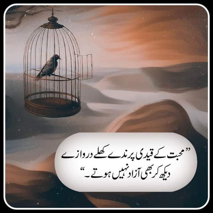 umeraslam56's tweet photo. https://t.co/oJflNAvkTz