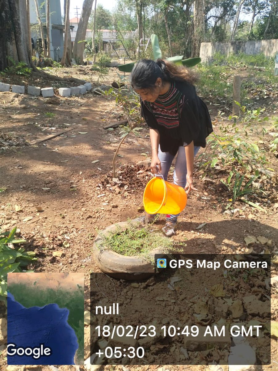 nssskcgvr's tweet photo. Today's Gardening work at #nssgarden @_NSSIndia @nsstvm @HimachalNss @nssrdhyderbad @NssrdB @NSSChennai @nss_rdguwahati @NssrdD @NSSRDPATNA @NSSRDChandigarh @NSSRDLucknow @rd_nss @nssrdbangalore @nsskashmir @NSSRDBhopal @vividhaNSSGoa @nss_ipcw #nssskcgvr #NSS #SIVe @nssrdvvjbp https://t.co/Qoa5POdtB1
