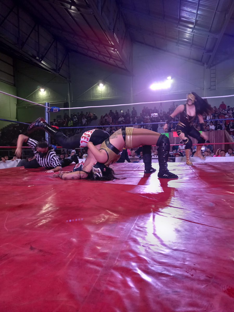 LaTijeraLucha's tweet photo. Un lucha de súper lujo en relevos mixtos, el talento de #SexyStar y #4Ases se imponen a la rudeza de #ReinaDorada y #DieselJr con una espectacular plancha "sapito" al estilo #LoveMachine, para hacer explotar a la afición de la alcaldía Gustavo A. Madero...
#latijeraluchalibre https://t.co/3Ds9QI7lct