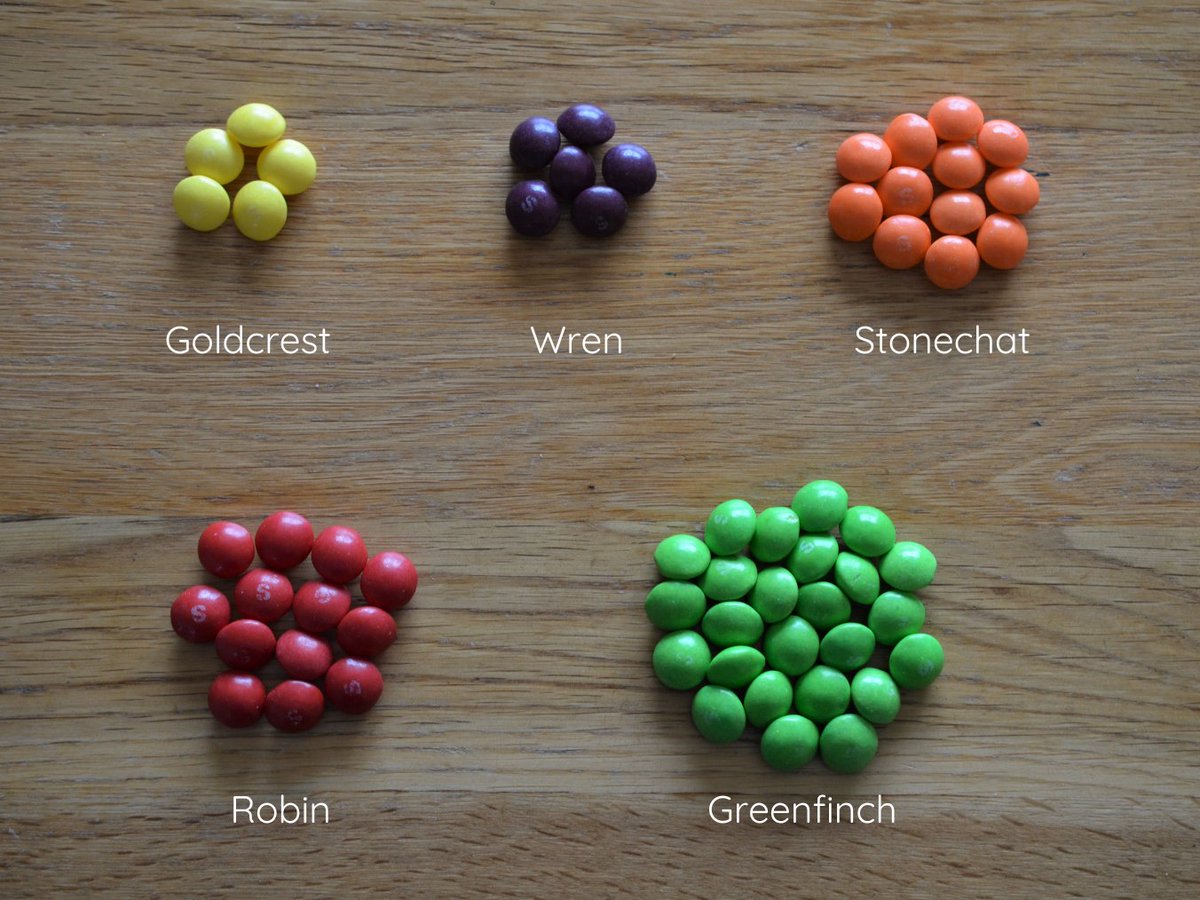 glenisilla's tweet photo. Rainy morning productively spent mapping out bird weights in skittles. Goldcrests weigh the same as five skittles. FIVE SKITTLES! Even a greenfinch is well under the recommended portion size https://t.co/t8ABZlLIHl
