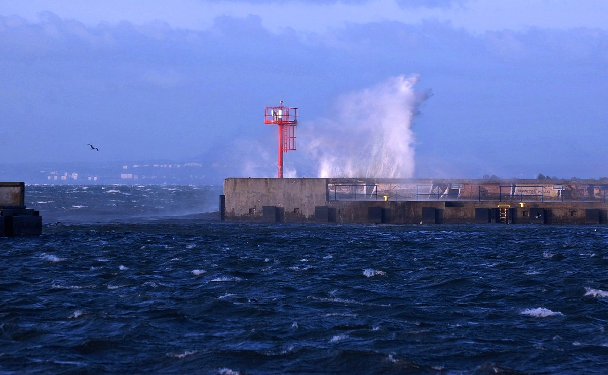 JaroJank's tweet photo. Cyklon #Ulf przy #Helu 🌬️🌊
#CyklonULF #wybrzeże #PółwysepHelski #MorzeBałtyckie #Zatokapucka #SilnyWiatr #wiatr #wichura #uwaga #fale #Hel #port #luty2023 #pogoda #widok #pocztowkazpolski #fotografia #fotografiakrajobrazowa @MeteoprognozaPL @alarmpogodowy https://t.co/6soViJ9rjg