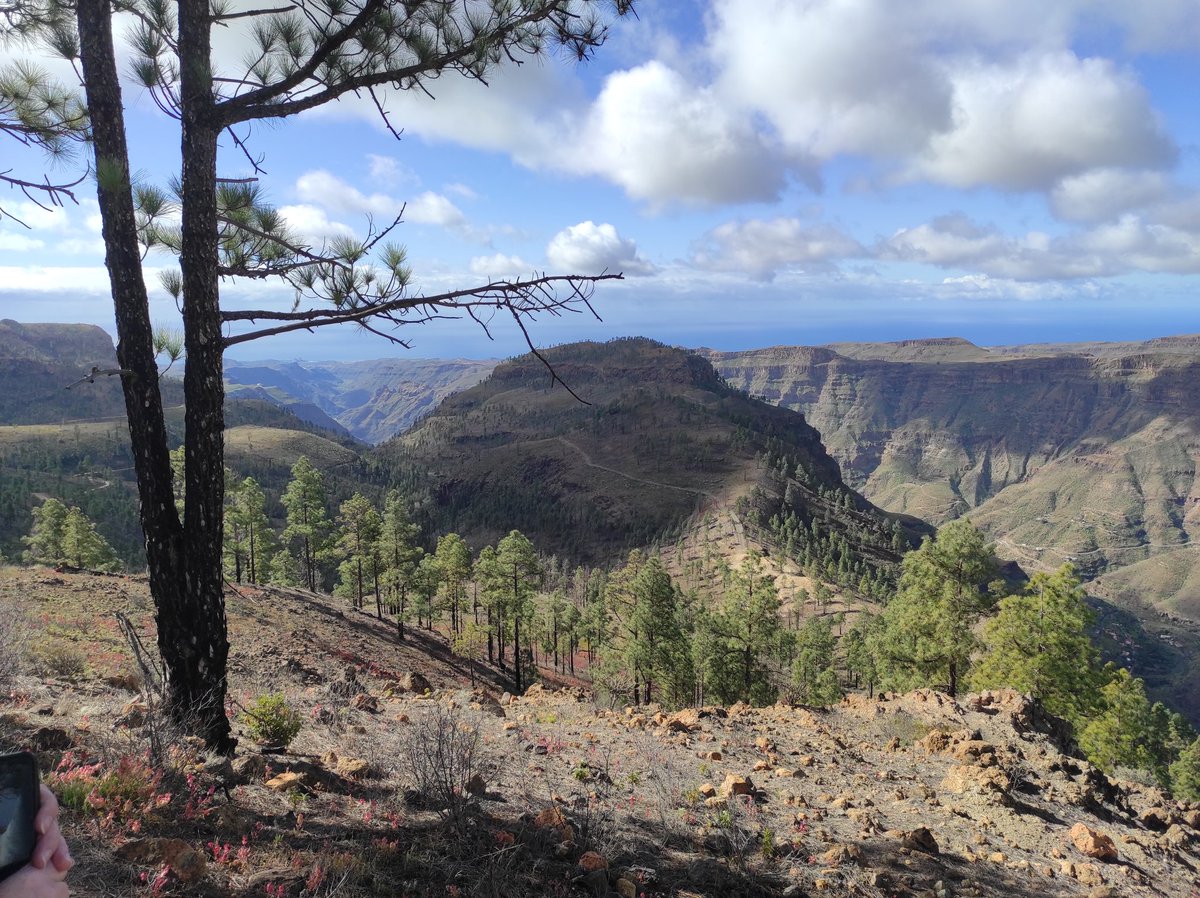 technocratX's tweet photo. 1100m up in Gran Canaria mountains. Absolutely stunning. #grancanaria #lookinggorgeous https://t.co/YEg2L02lRC