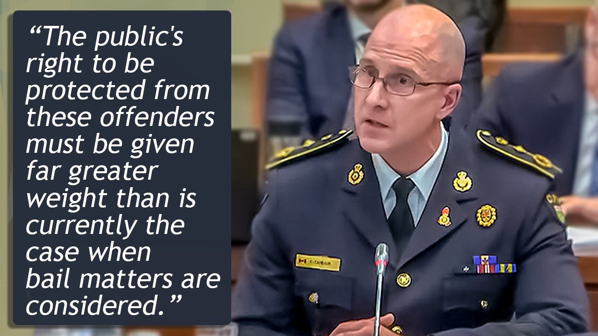 We must continue to push for changes to the bail system. This will ensure repeat violent offenders, with a propensity for using weapons, are held accountable and remain in custody to prevent further victimization in our communities.
