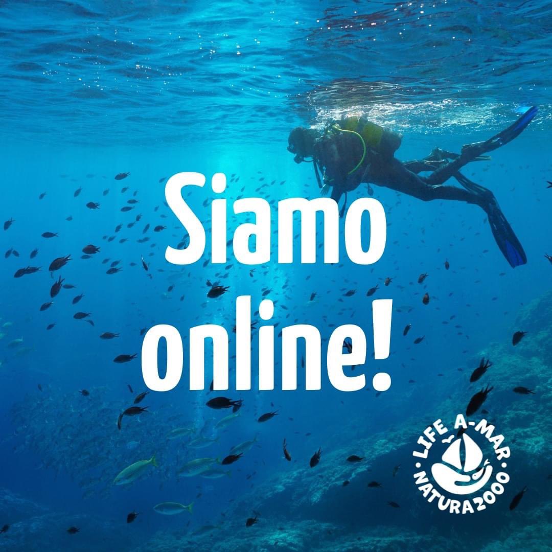 AmarNatura2000's tweet photo. #LIFEAMARNATURA2000 è un progetto finanziato da #ProgrammaLife #UE mirato a diffondere e promuovere la conoscenza dei #SitiMarini mediterranei della Rete #Natura2000 scrigno di biodiversità ancora poco conosciuto dal grande pubblico #tritonresearch https://t.co/uLn2PBlKg5