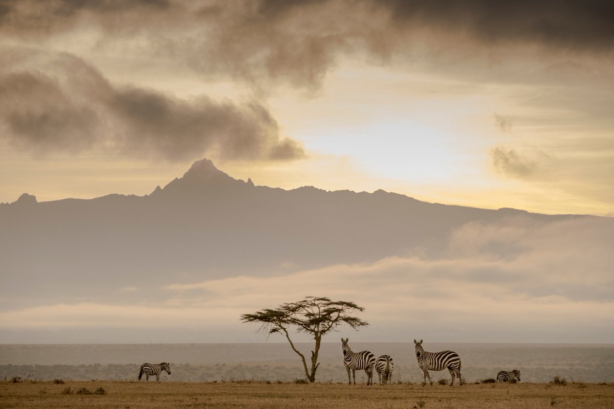 Dramatic views of Mount Kenya from the plains of Laikipia 🦓🌄

📸 Robin Moore

#DiscoverTheSafariCollection #MountKenya