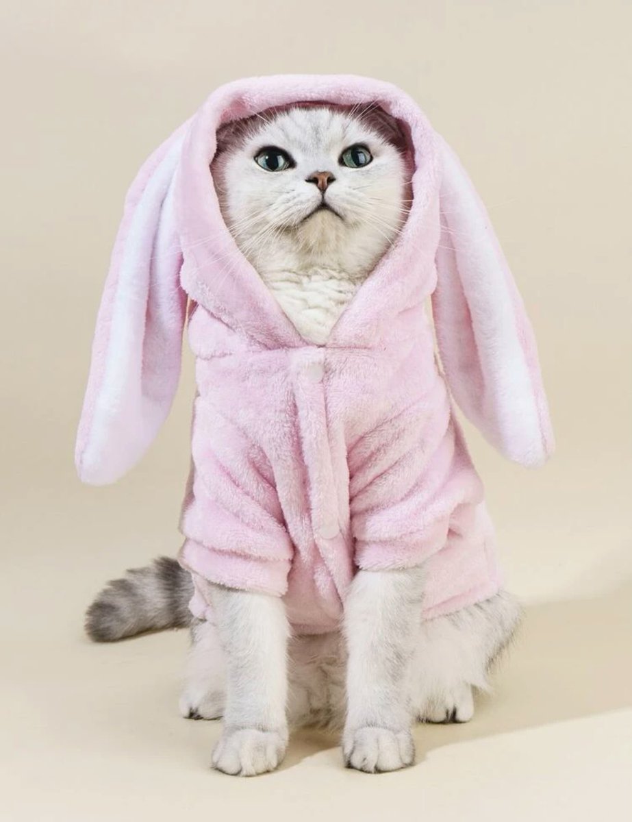 Cherrystore17's tweet photo. ⚜️SHEIN⚜️

🐈💘

45
_________________
للحجز والإستفسار يرجى مراسلتنا على بريد الصفحة، تتوفر خدمة توصيل لجميع مدن ليبيا📦 https://t.co/NyCAguzsHt