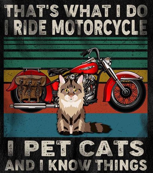 KiberMoon's tweet image. Good morning everyone rise and shine! 
The only thing I know for sure is that the weekends are better on two wheels! 😉🏍️💨