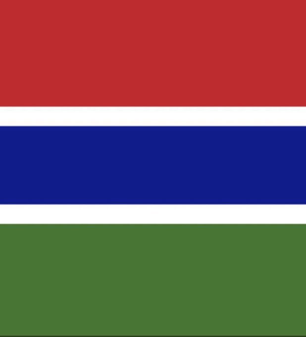 AmadouJallow82's tweet photo. The flag                         The face https://t.co/5PnR8FUyJg