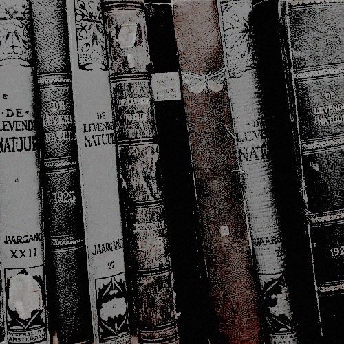 CavalierSatire's tweet image. Are you implying that shreds of my reputation remain intact? Clearly I have been doing something wrong. Or not something wrong, as the case may be.

TID | TLH | RP21+ | Welsh | Bites vampires frequently | Hates ducks | Dark/mature themes | Crossover/OC friendly | SLs/banter