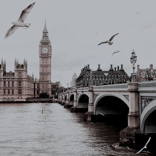 Are you implying that shreds of my reputation remain intact? Clearly I have been doing something wrong. Or not something wrong, as the case may be.

TID | TLH | RP21+ | Welsh | Bites vampires frequently | Hates ducks | Dark/mature themes | Crossover/OC friendly | SLs/banter
