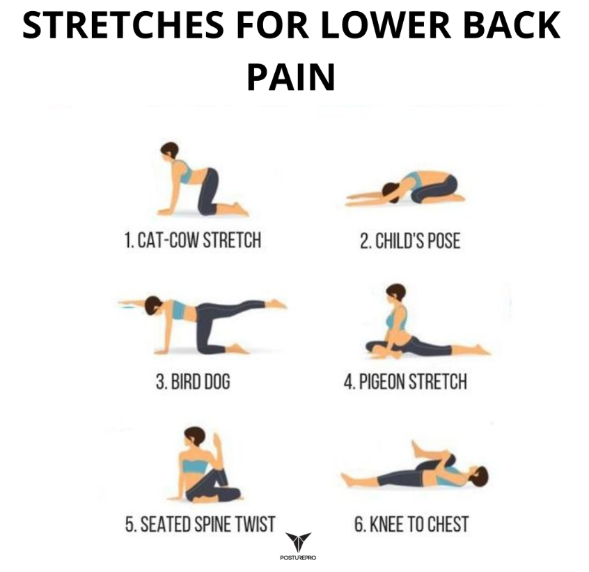 JustinEgliskis's tweet photo. We have one body, it's worth taking care of. 

true or false? https://t.co/6KdUrH5XRc