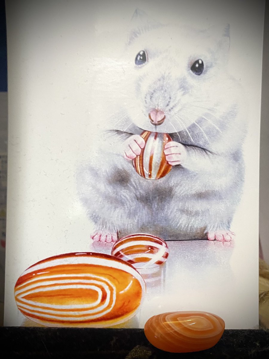 畳ちゃん tweet media