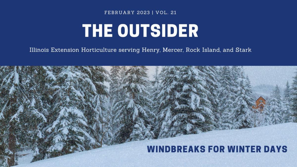 U_IL_Ext_HMRS's tweet photo. Windbreaks are utilized as critical components of agriculture around the world and have been for centuries. They can also provide wildlife habitat, improved biodiversity, soil protection, energy savings, shade, visual screening, and more. https://t.co/188V0yrxGA https://t.co/n8LHRgCil8