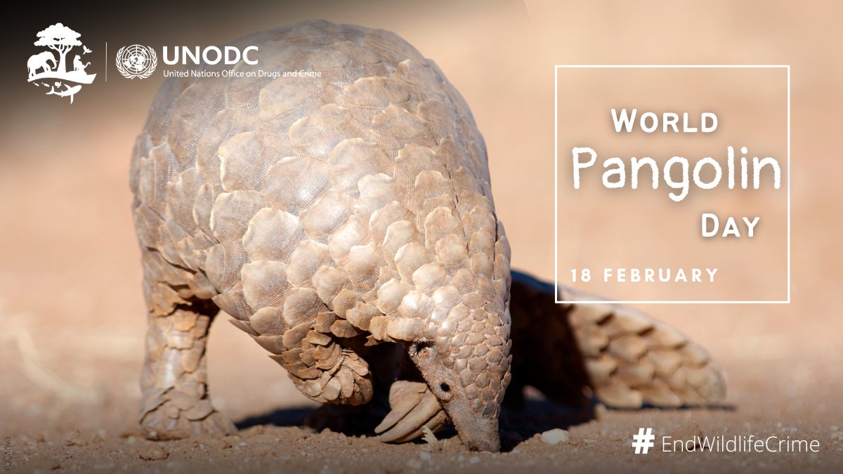 UN Office on Drugs & Crime tweet media