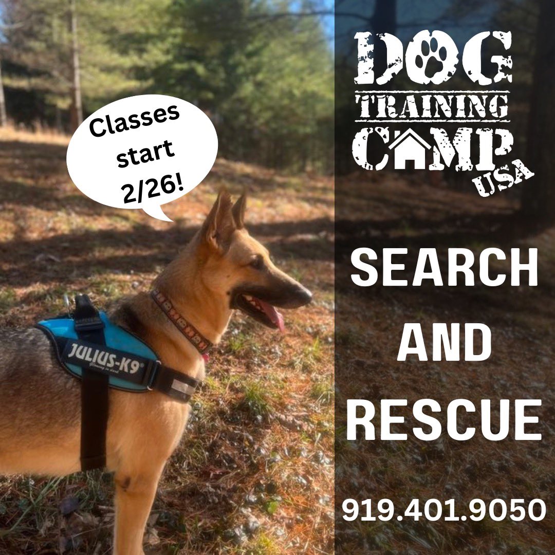 DTC_USA's tweet photo. Our next Search and Rescue program starts Sunday 2/26/2023-sign up now! Classes are held on seven Sundays at various locations around Raleigh, Durham, and Chapel Hill. 
https://t.co/V7bDCXFJ0H
919.401.9050
office@dogtrainingcampusa.com #SearchAndRescue #RaleighNC #dogtraining https://t.co/BFlK4KNXTm
