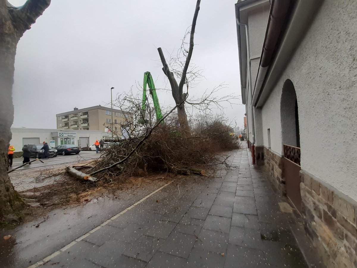 mariuskarma's tweet photo. wiŕ brauchen @Gretta ìn #Duisburg #wedau https://t.co/e8DOUdui61