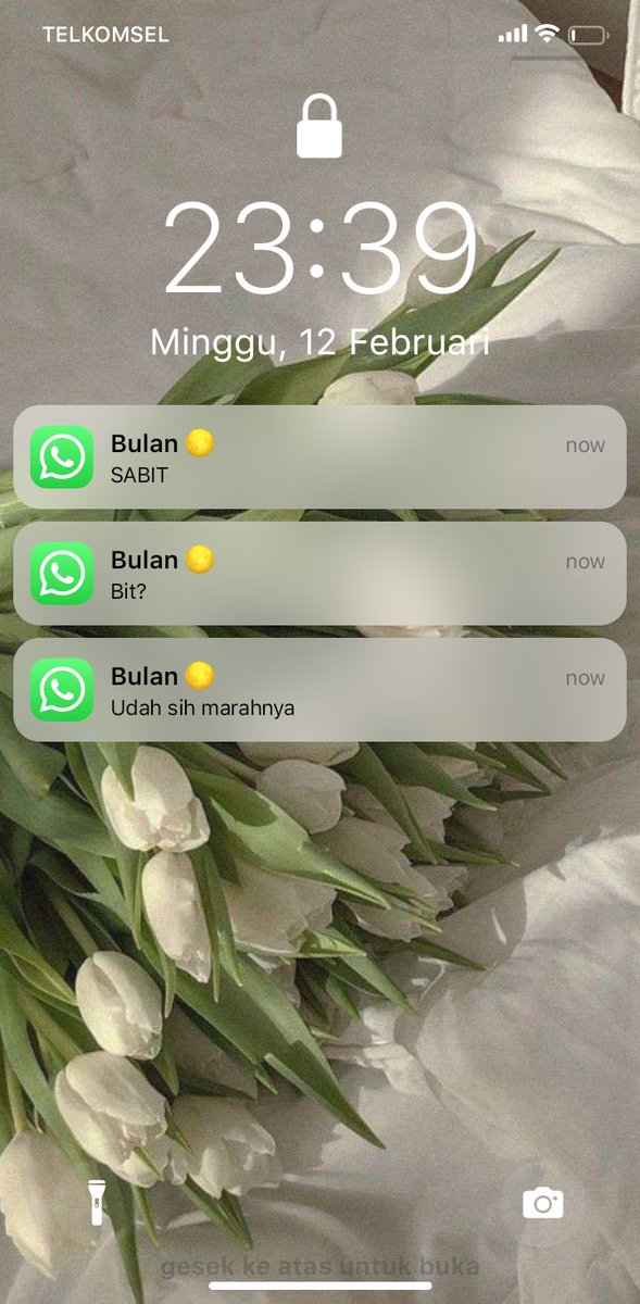 Perang dingin Bulan Sabit.

— haechan few tweets au

©Fullsunblume