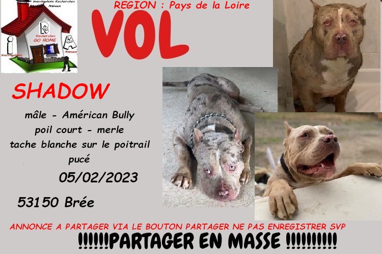 GUILLAUME tweet media