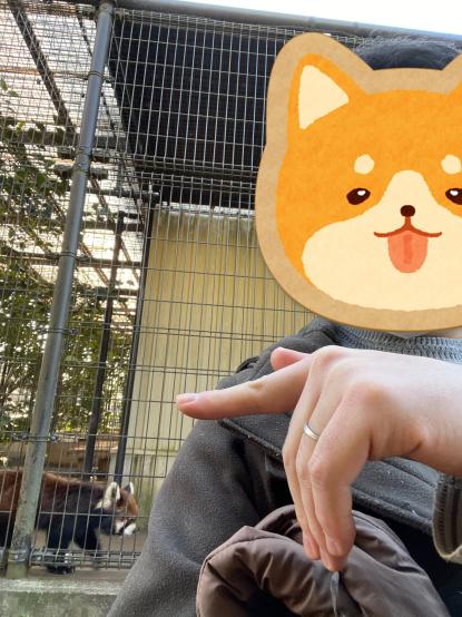 動物園に行ってきた。
今日は上野動物園でTMAのイベントをやっていたみたいだけど、残念ながらそこまでは行けなかった。
近所の動物園で、看板動物のレッサーパンダとパシャリ。

いいイベント、感謝いたします。

#TMAs #動物園tomint #TheMafiaAnimals