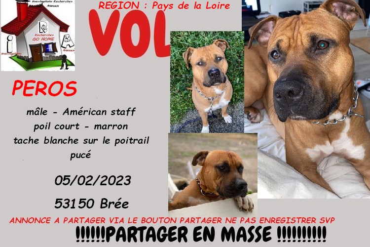 GUILLAUME tweet media