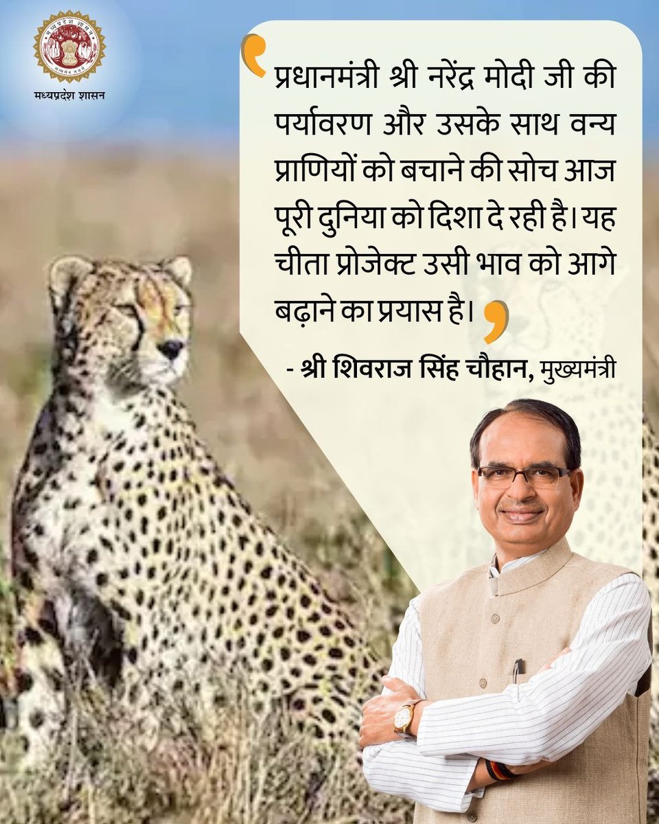 minforestmp's tweet image. प्रधानमंत्री श्री @narendramodi जी की पर्यावरण और उसके साथ वन्य प्राणियों को बचाने की सोच आज पूरी दुनिया को दिशा दे रही है : सीएम श्री @ChouhanShivraj 

#MPWelcomesCheetah 
#CheetahStateMP 
#JansamparkMP