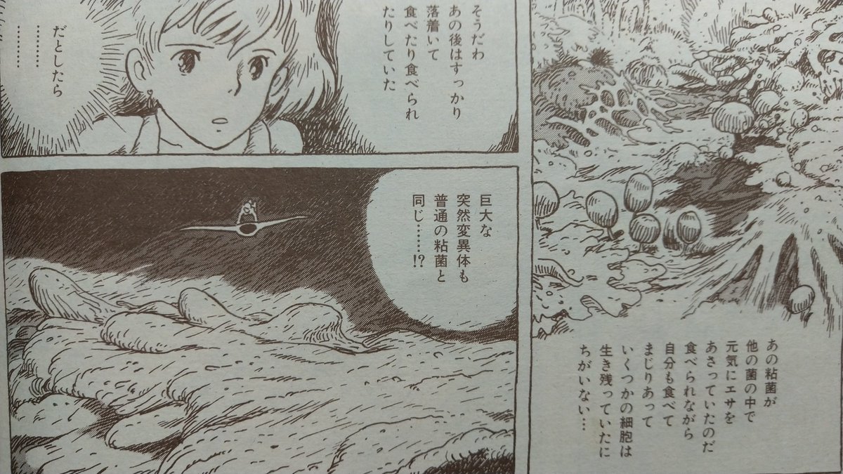 一方、粘菌合流地点では、王蟲達を苗床にして急速に腐海植物も成長し 