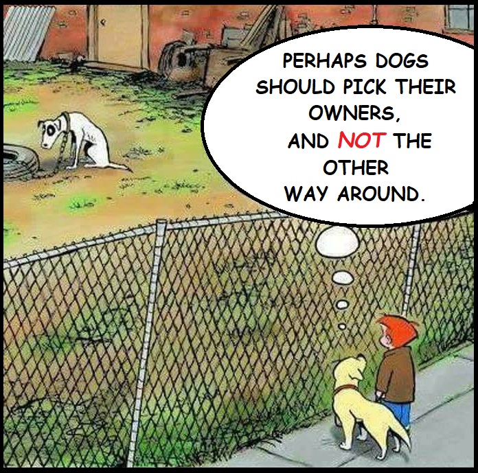 #ThoughtForTheDay 

Life on a chain is NO life at all!!!!