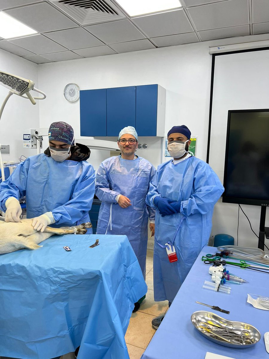 saudiurological's tweet image. ولقد سبق المؤتمر العديد من ورش العمل المثمرة والتي تزيد من تثقيف الأطباء المتدربين ومشاركة خبرة المتخصيين في التخصصات المختلفة